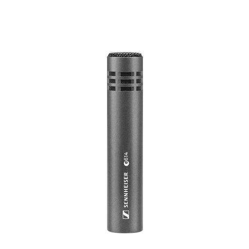 [009895] Sennheiser e 614